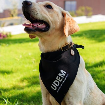 Bandana UDEM para mascota
