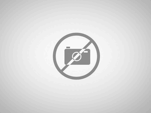 Chamarra Universitaria Infantil