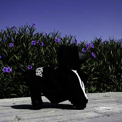 Sudadera para mascota, raza pequeña o mediana