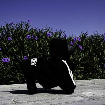 Sudadera para mascota, raza pequeña o mediana